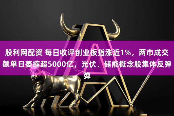 股利网配资 每日收评创业板指涨近1%，两市成交额单日萎缩超5000亿，光伏、储能概念股集体反弹
