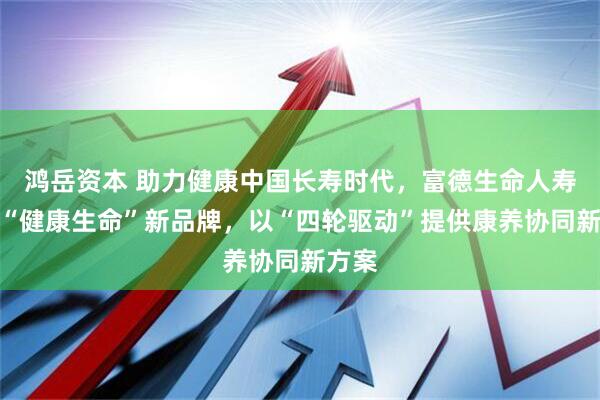 鸿岳资本 助力健康中国长寿时代，富德生命人寿推出“健康生命”新品牌，以“四轮驱动”提供康养协同新方案